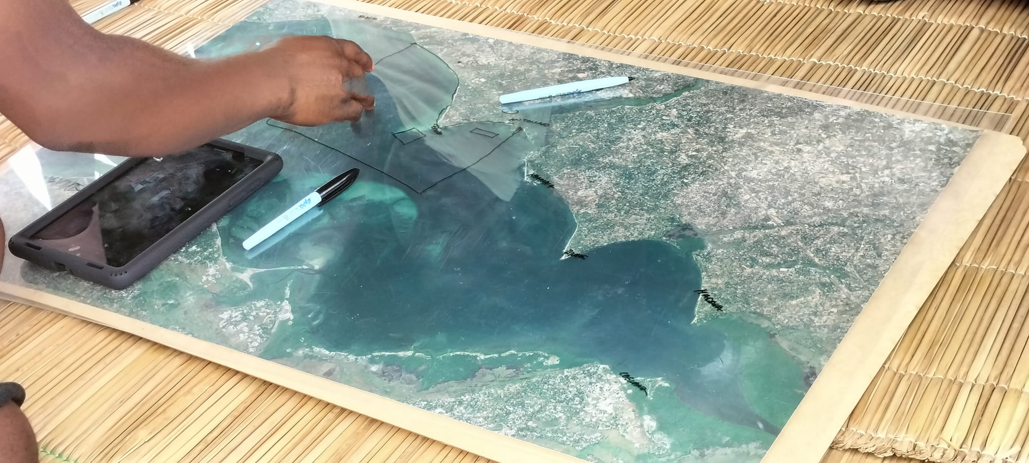 Ocean literacy: a pillar in achieving a sustainable ocean future